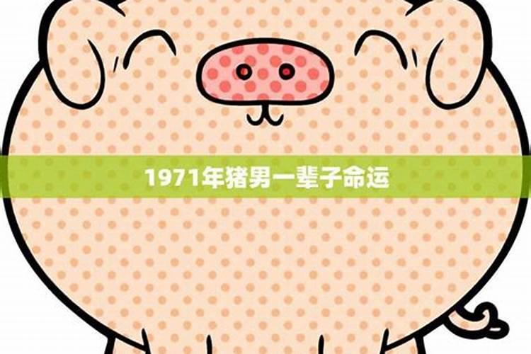 1971年属猪男的人2023年运程