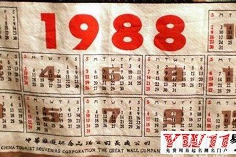 1988年什么命？