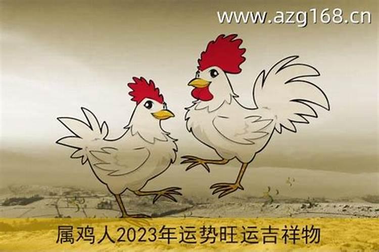 2023年93年属鸡的运势和财运