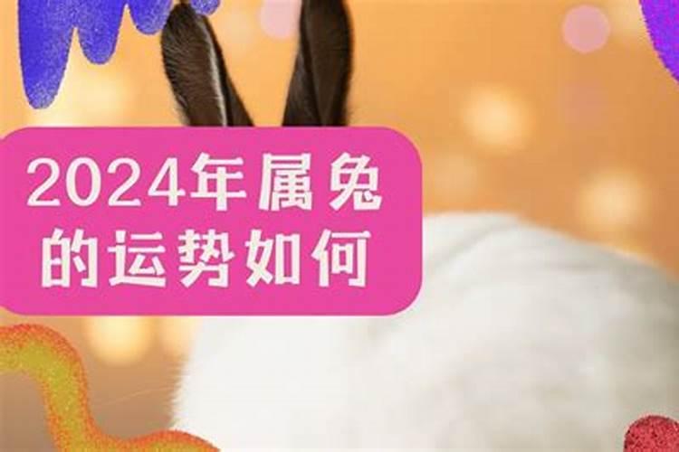 兔人2024年运程如何？