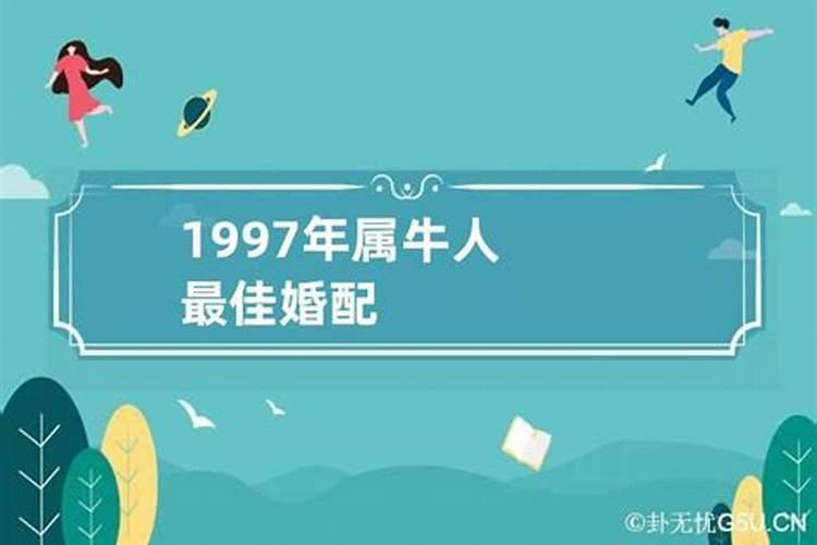 1997年属牛女婚配方向