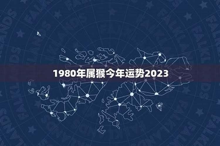 1980出生的今年的运势如何？