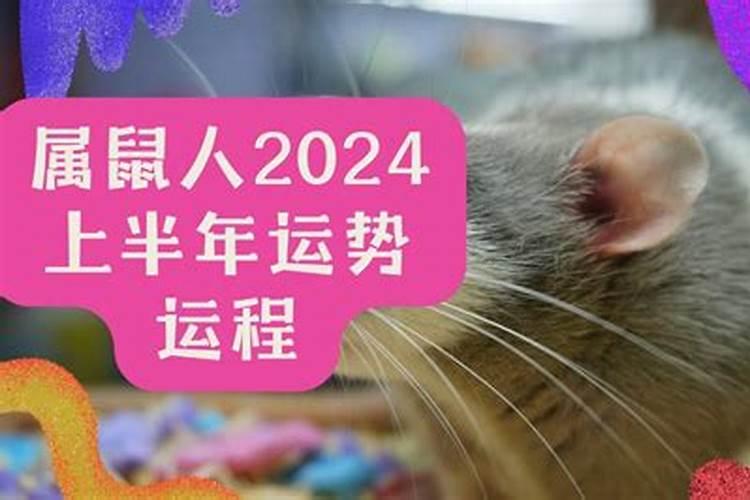 属鼠2024下半年运势如何？