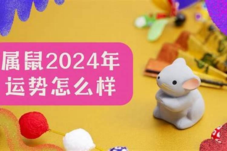 属鼠的2024年的运势及运程