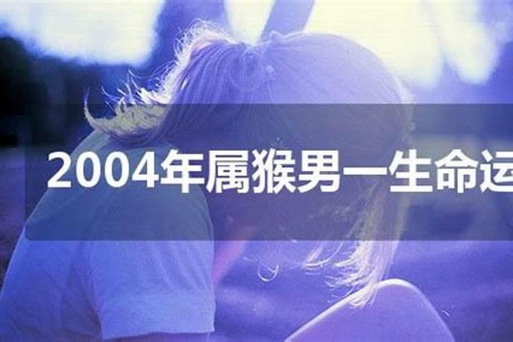 2004年出生属猴男