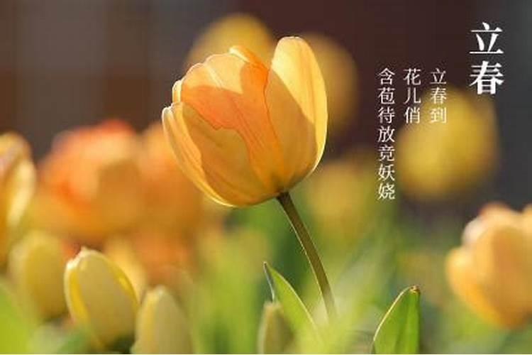 立春与春节同一天的年份叫什么