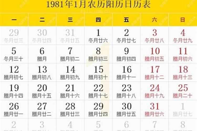 1981年什么时候立春农历？