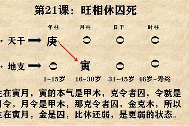 八字预测分析算法