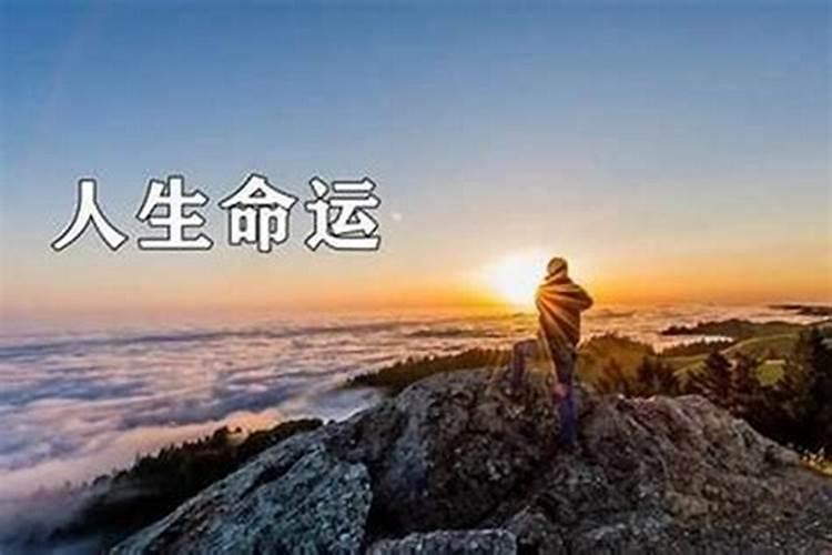 本命年结婚可以吗98年属虎在2022年结婚