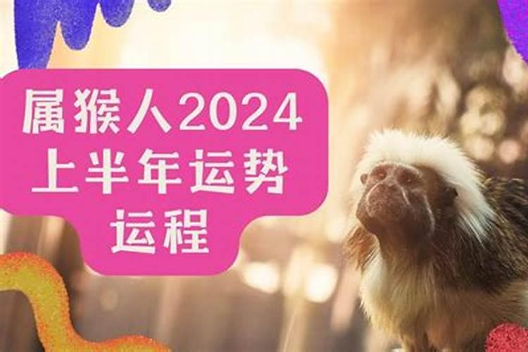 属猴人2024年运势运程如何？