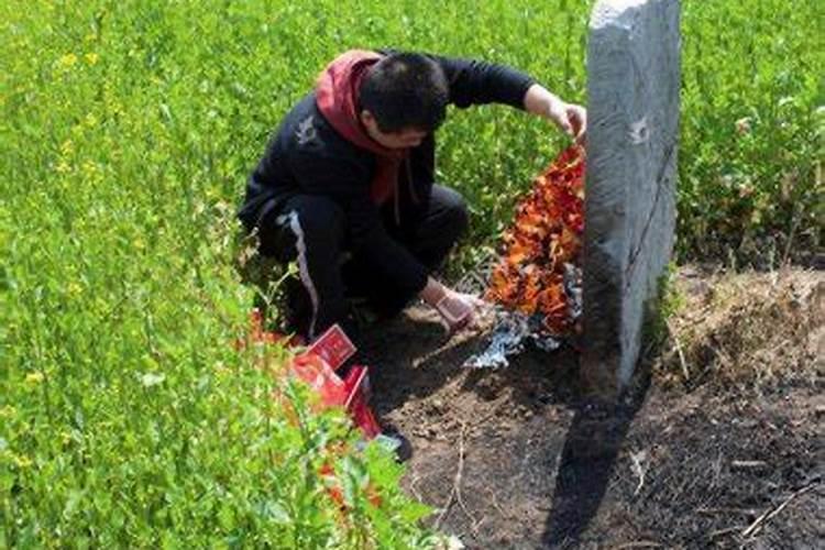 冬至的节令食品中最知名的是什么食物和水果