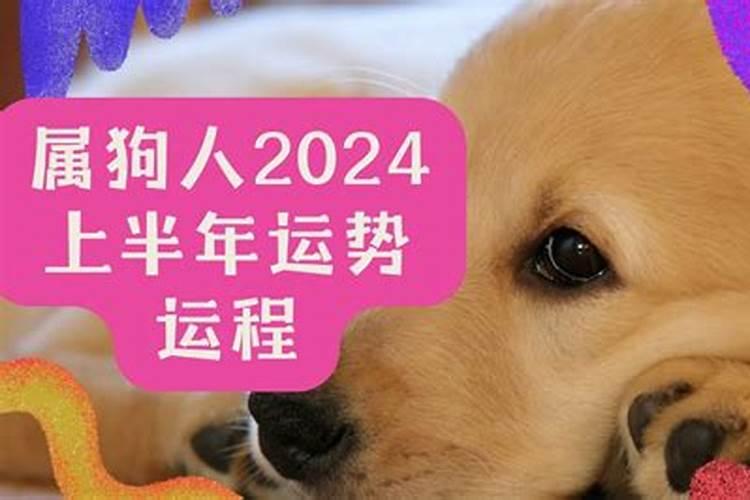 2024年狗年狗人运程如何？