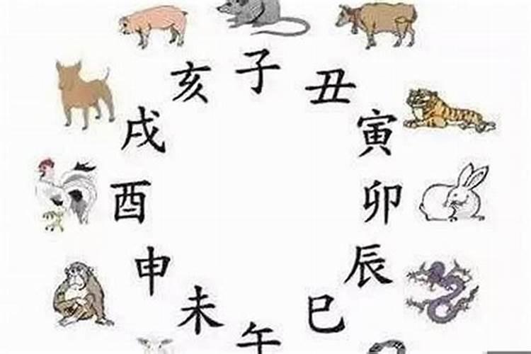 自属五行属什么名字