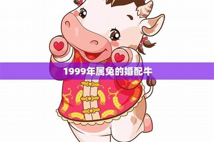 1999年属兔的男