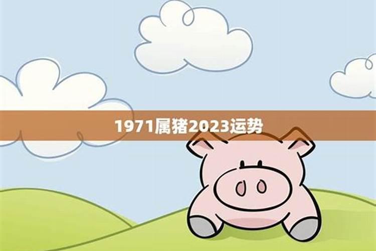 1971属猪的2023年运程如何