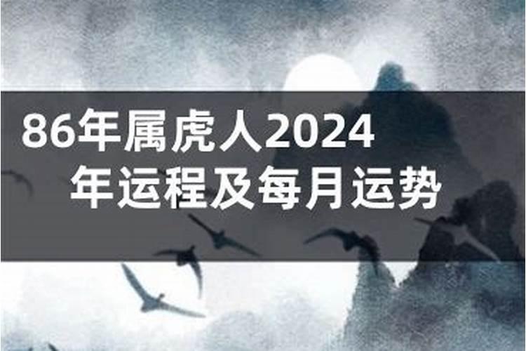 86年寅时虎2024年运程