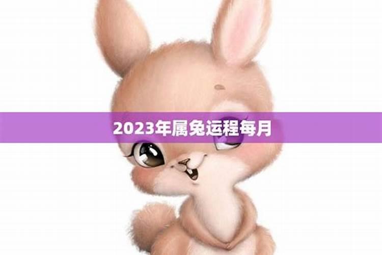 2023狗年属兔运程如何