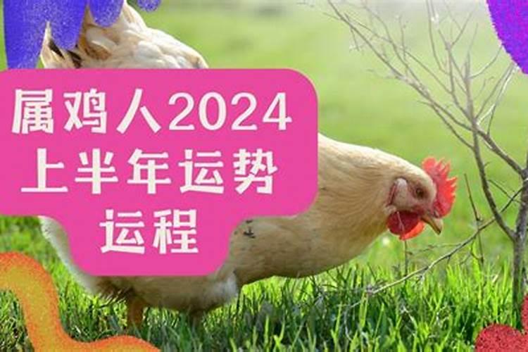 2024年8月属鸡人运程如何？