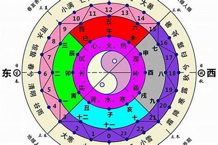 八字排盘金神什么意思？