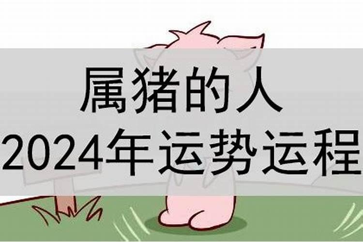 2024年运势12生肖猪运势