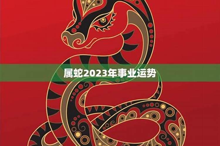 32岁属蛇的2023年的运势