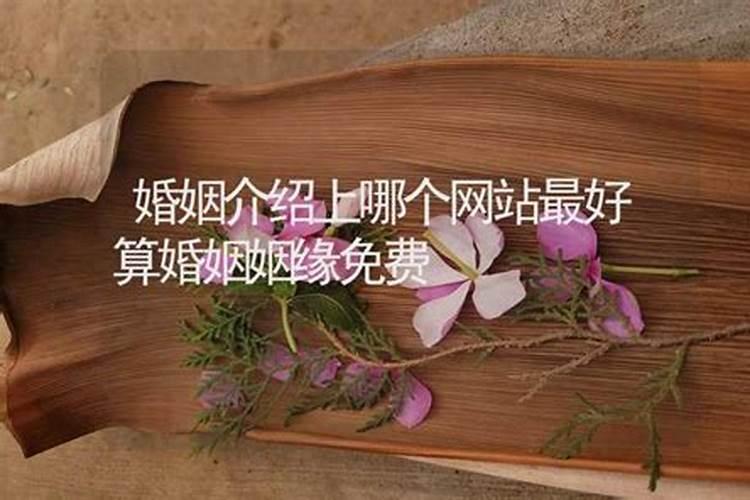 算命婚姻哪个算最好？