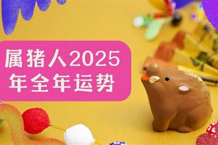 属猪女的人2025年运程