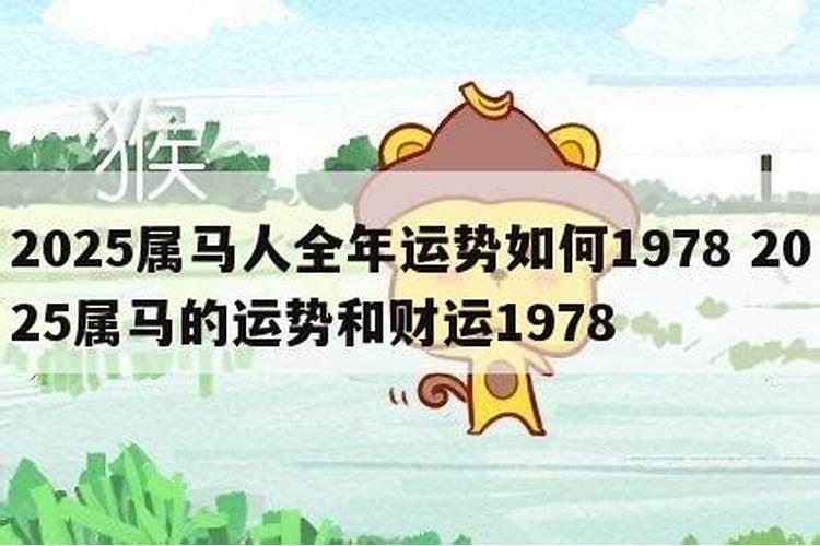 1978年属马的2025年运势如何？