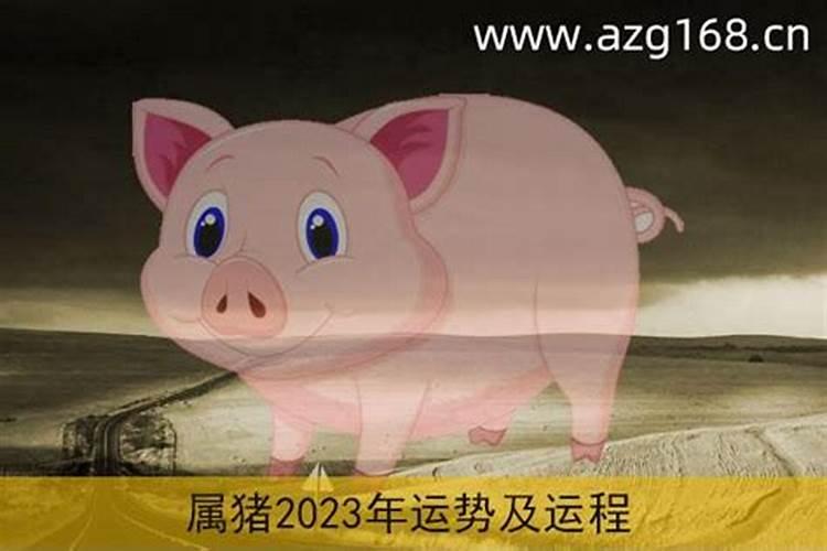 2023年属猪2023年运势详解