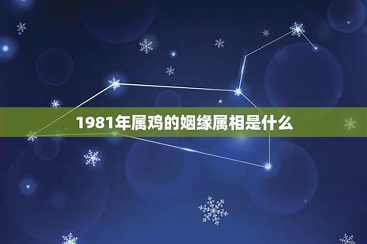 1981年属鸡人五行是什么命格