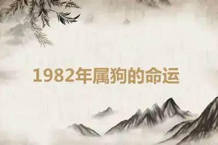 1982年属狗的命