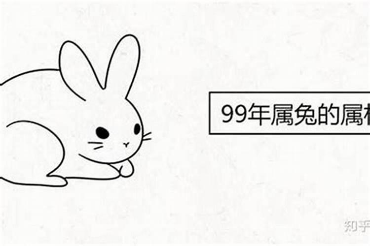 99年属兔适合在哪个方向发展