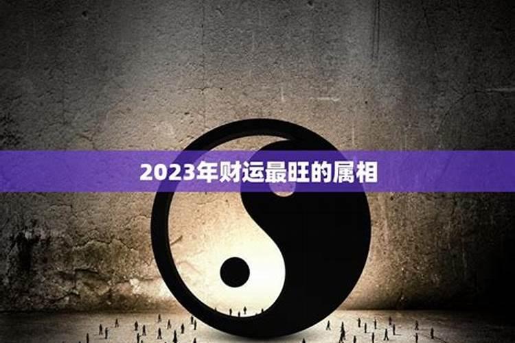 2022年那个属相运气好