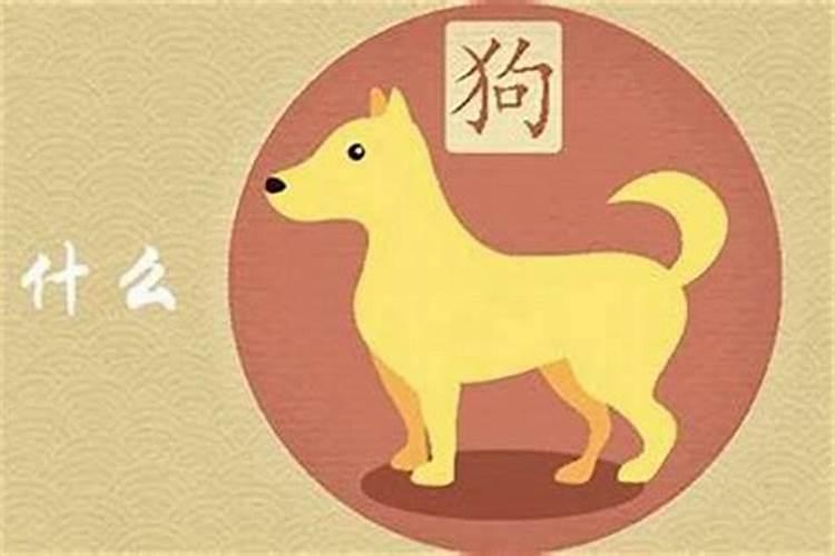 生肖狗生什么属相宝宝好？