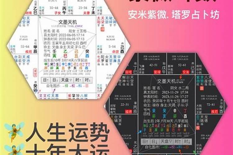 紫微斗数解析2025年运势