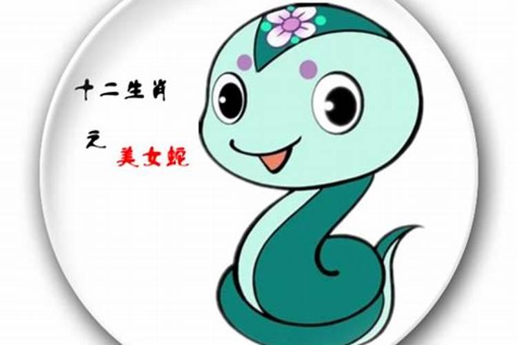 属蛇与属马八字合吗