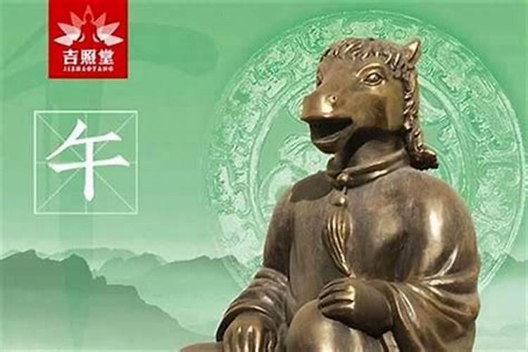 犯太岁年出了车祸