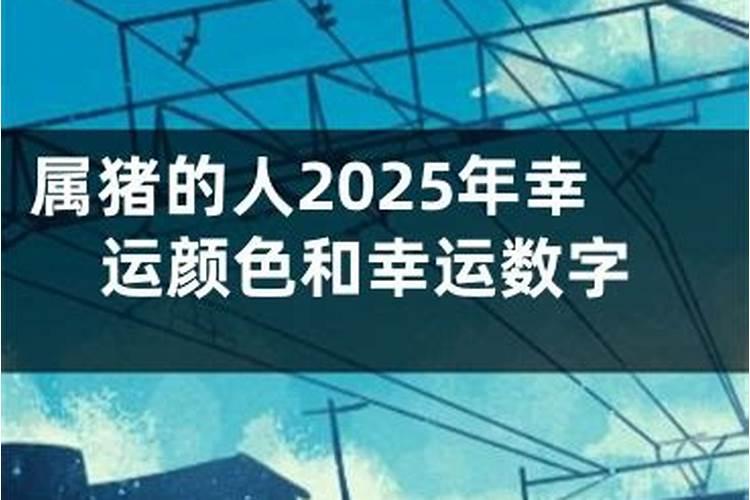 2025年运程颜色和幸运数