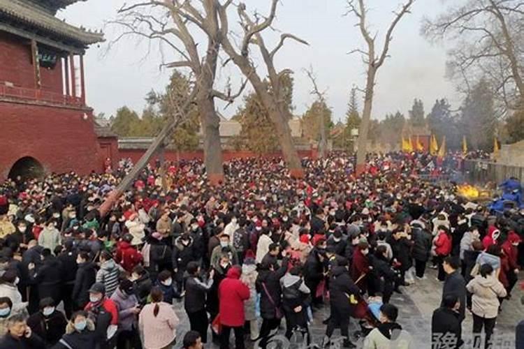 周口龙抬头祭祖