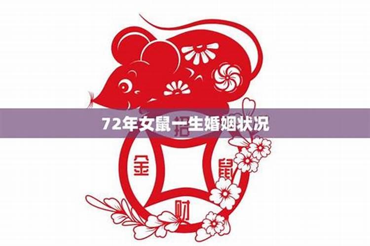 72年女鼠总是婚姻不顺