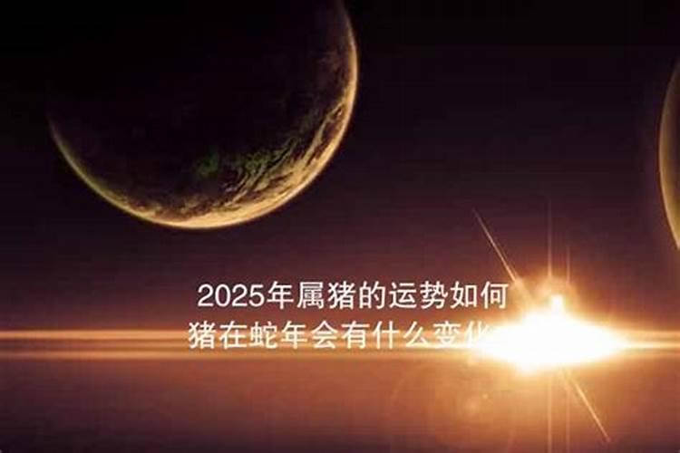 2025年运程有什么变化？