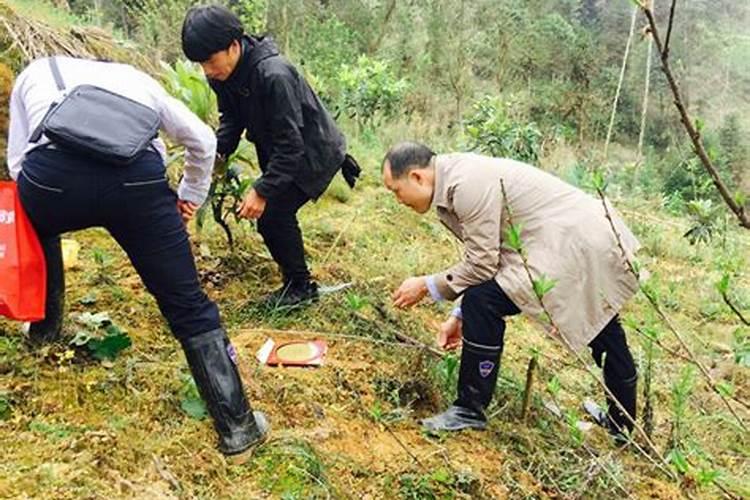 红河风水大师电话