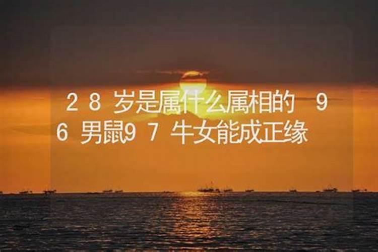 28岁是属什么的