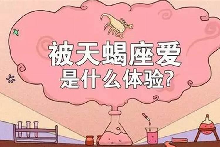 为啥说天蝎女水多活好？