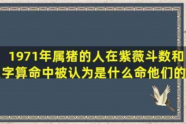 1971年人运程如何？