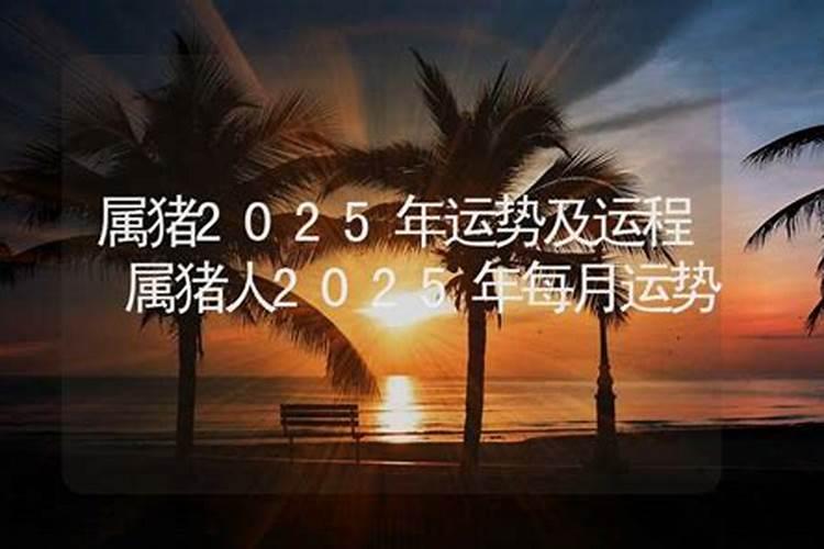 风水大师属猪的2025年运势