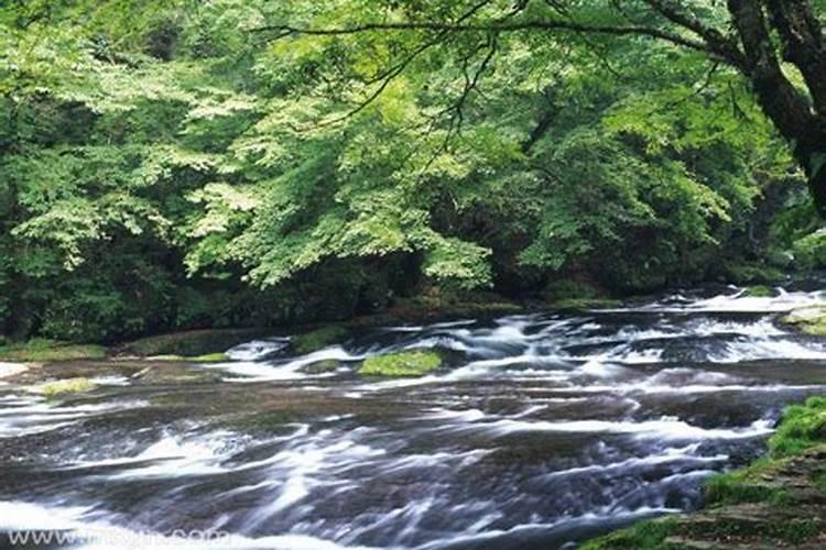 梦见学校大门口流水了