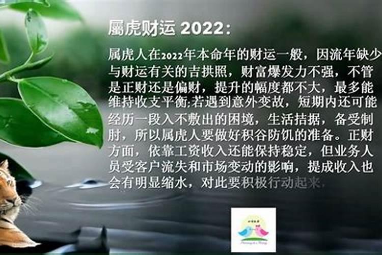 属虎2022运势年运势