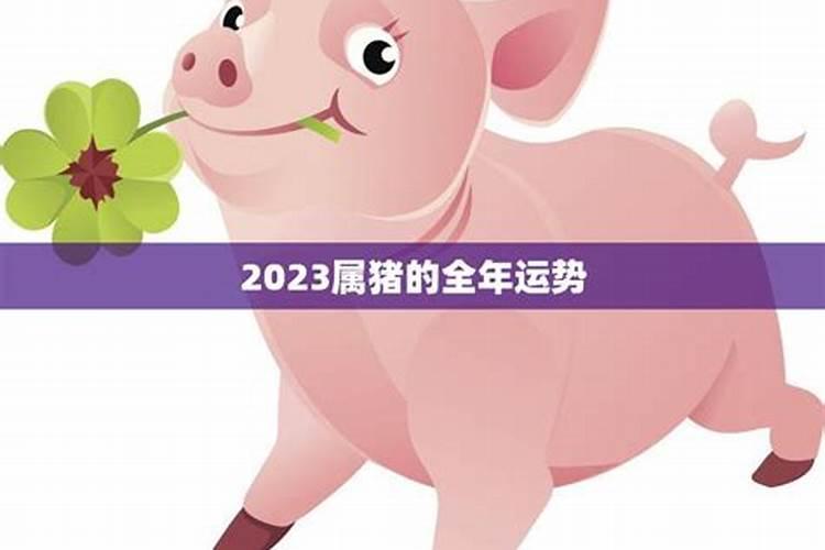 2023年生肖猪的全年运势如何