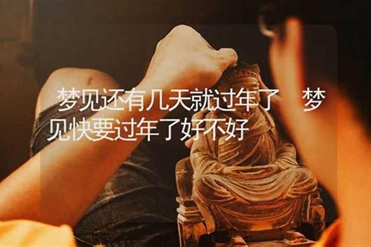 做梦梦见回家过年了好不好